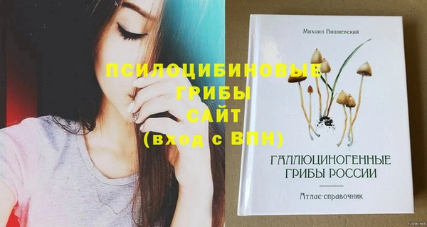 сатива Аркадак