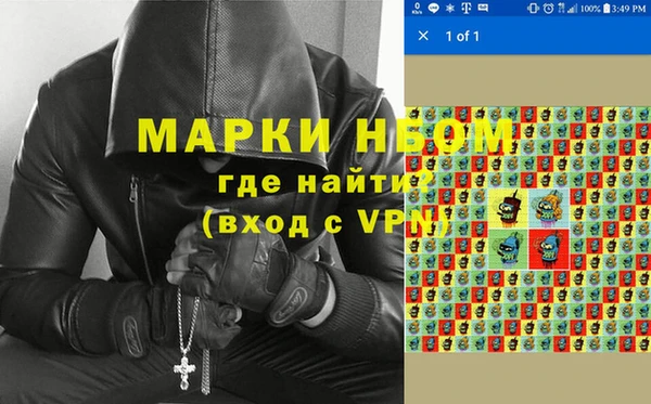 сатива Аркадак