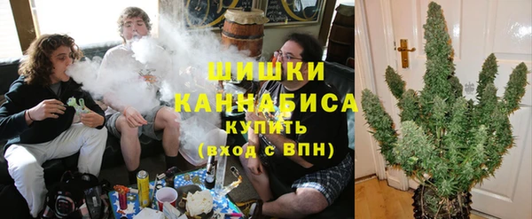 сатива Аркадак