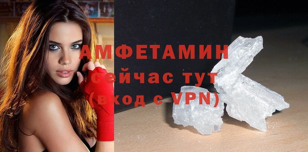 сатива Аркадак