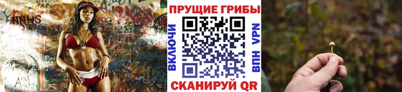 Псилоцибиновые грибы GOLDEN TEACHER Каргат